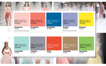 Los Colores Cambian