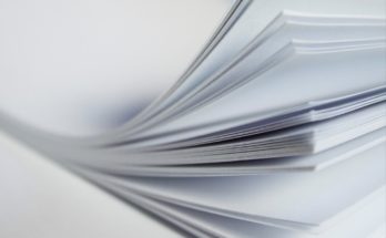 La Elección Del Papel